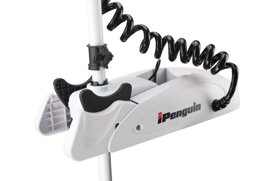 Haibo Penguin 65lbs 183cm 12v